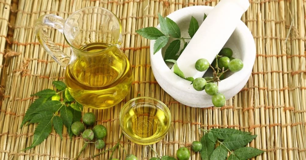 Neem Seed Oil