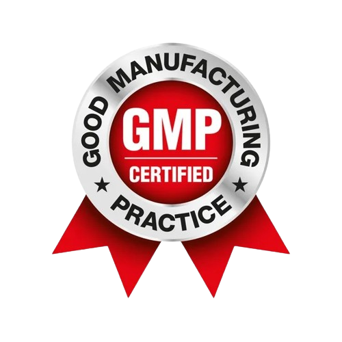 GMP Logo